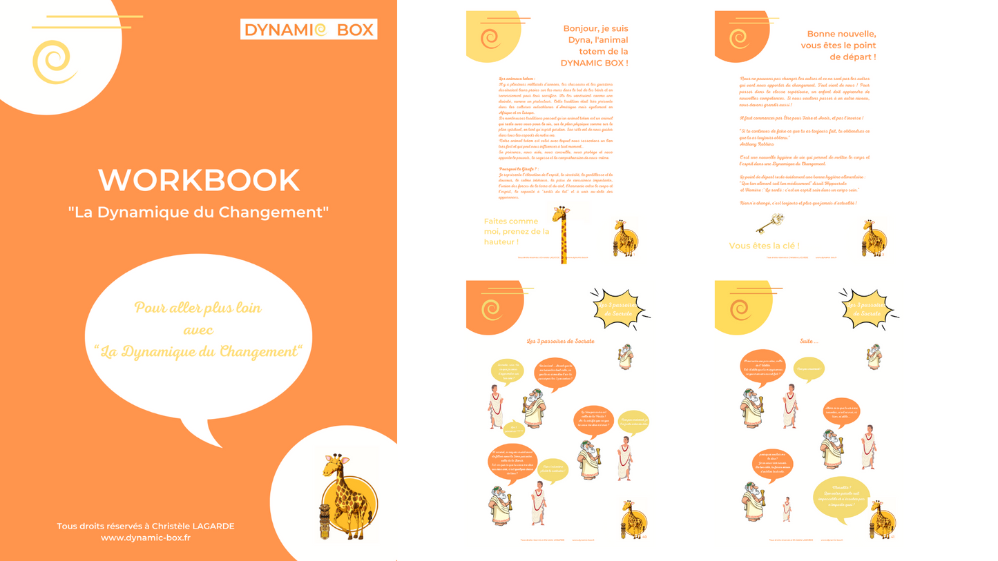 BOX Premium + Workbook (méthodologie au format numérique et imprimé avec matériel supplémentaire) - 209€ en 3 mensualités de 69,67€